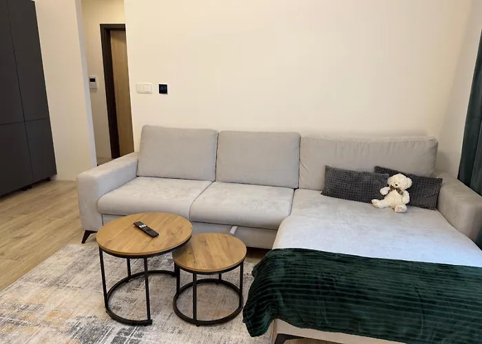 公寓 Rishko 113, Self Check In, Free Parking, Bus Station, Center Of The 班斯卡-比斯特里察